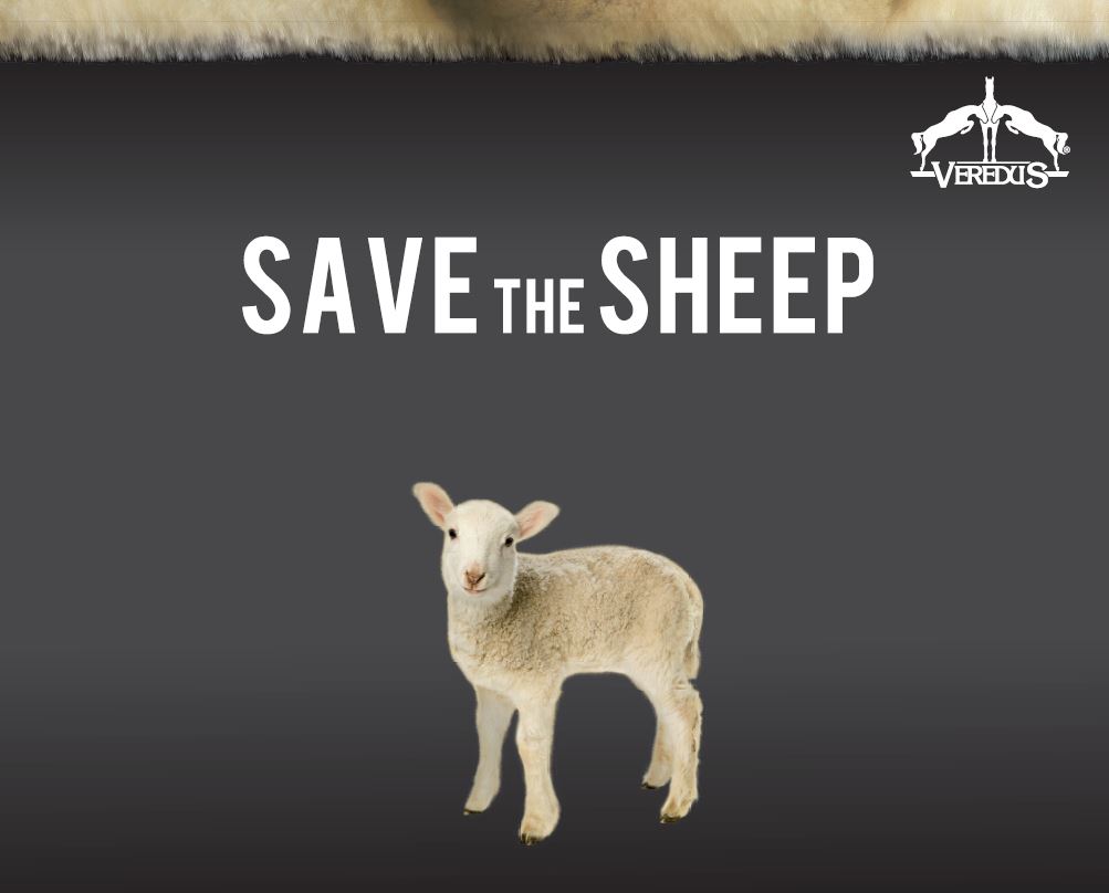Save The Sheep logo