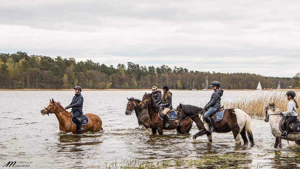 Pławienie koni podczas majówkowego pikniku w Stadninie Koni Ferenstein