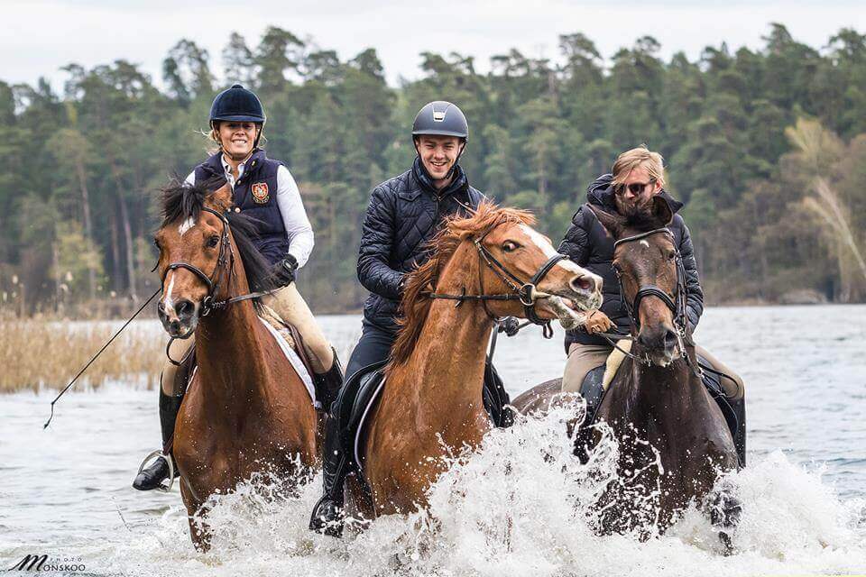 Konie w jeziorze Bełda