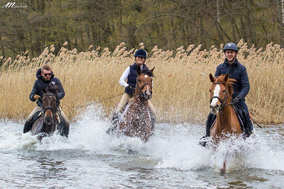 Pławienie koni z Karoliną Ferenstein-Kraśko