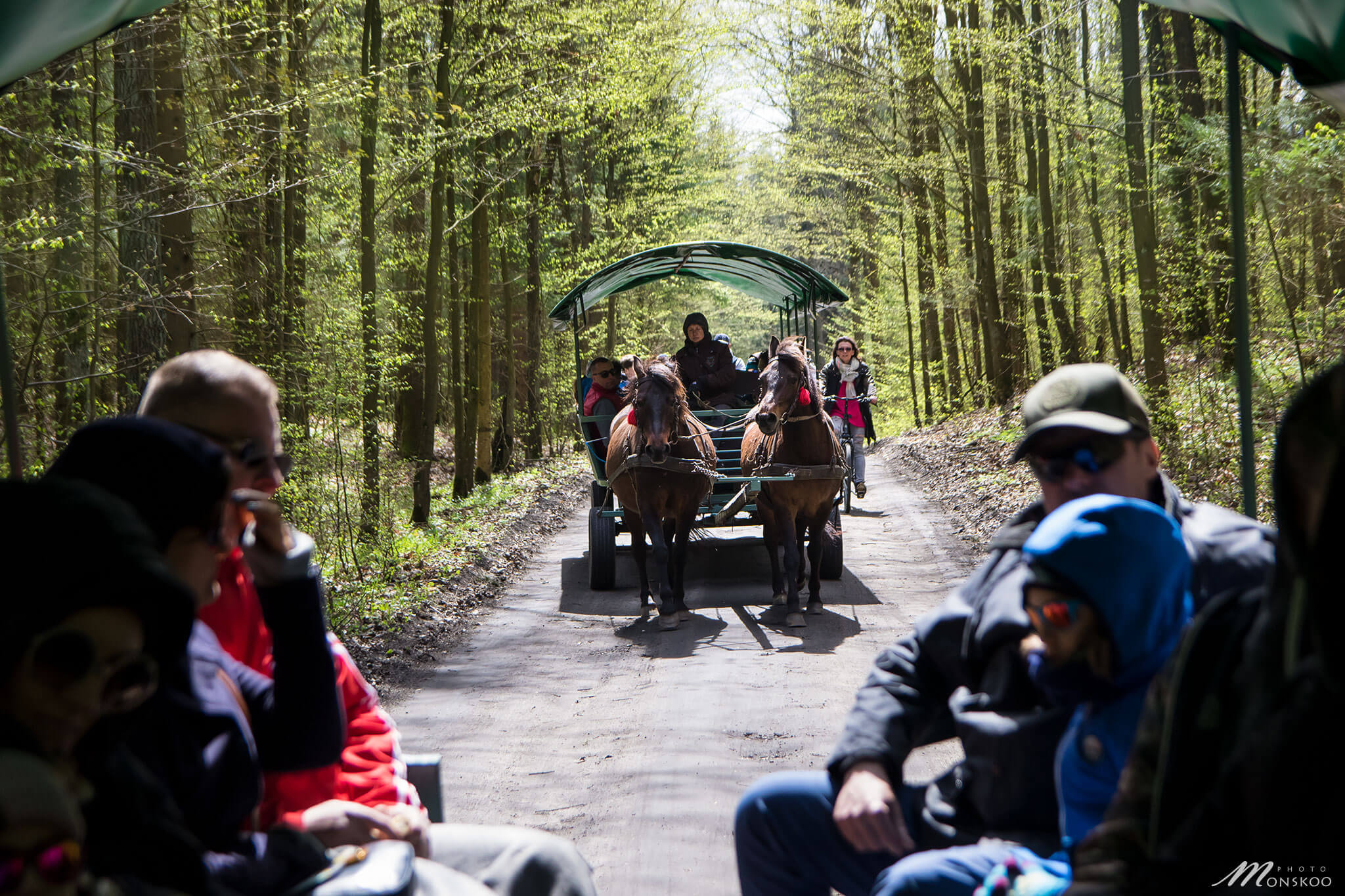 Dorożki podczas majówkowego pikniku nad jeziorem Bełdy