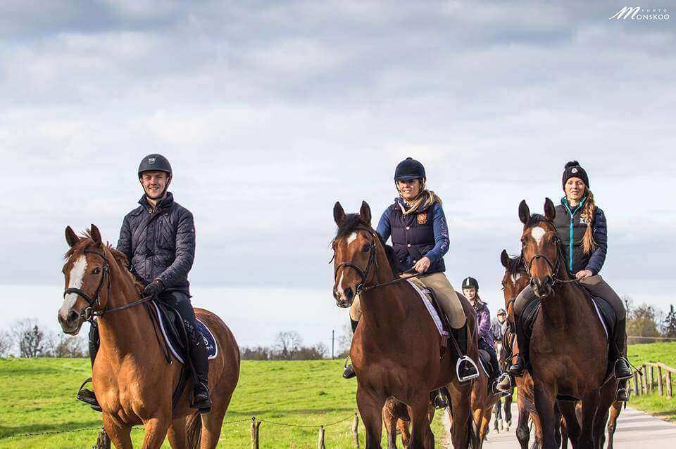 Majówkowy piknik w Stadninie Koni Ferenstein