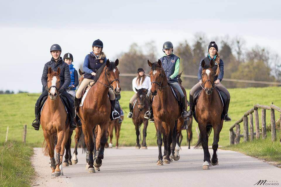 Majówkowy piknik w Stadninie Koni Ferenstein