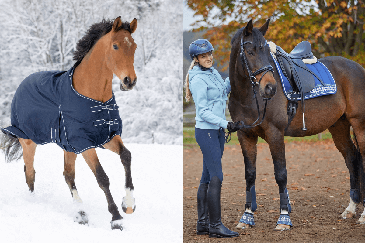 waldhausen_akcesoria_jezdzieckie_dla_konia