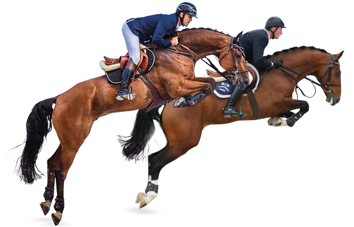 Equishop Team jumping riders