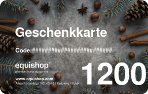  Weihnachtsgeschenkkarte mit Zapfen