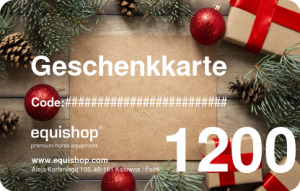  Weihnachtsgeschenkkarte