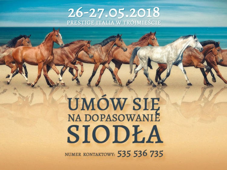 Pasowanie siodeł w Trójmieście i okolicach