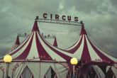 Circus as the cradle of dressage