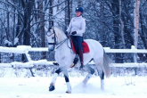 Winter problems - overheating and dehydration of the horse