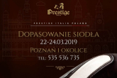 Dopasowanie siodeł w Poznaniu i okolicach