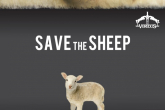 Veredus Save The Sheep