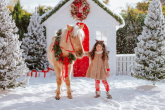 Top 15 jeździeckich prezentów świątecznych dla dzieci i młodzieży