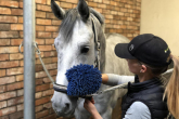 Jak prawidłowo czyścić konia?