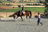 First horseback riding lessons - how to encourage and build a solid foundation