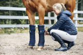 Bandages or boots for horses? When to use what to protect your horse's legs?
