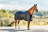Protect your horse from insects in the stable, paddock and during training