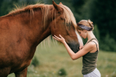 Wirus Herpes u koni — stadnina, stajnia, ośrodek jeździecki - jak sobie radzić?