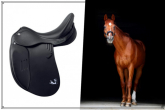 Jumping or Dressage Saddle? - top 6 best saddle models for horse riding