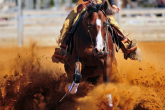 Western Reining - the proud western horseback riding discipline