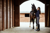 How to choose the best equestrian center for your horse?