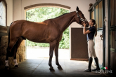 Equiline Classic collection – for both you and your horse!