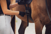 Types of girths for horses – what are their differences and uses?