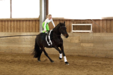 Woltyżerka - widowiskowa gimnastyka na grzbiecie konia