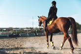 Horse riding ins and outs – everything you need to know
