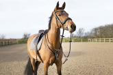 What is a martingale and what is it used for?