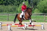Cavaletti - gains from working on arcs