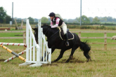 Show jumping - what to do with a horse who... part 2