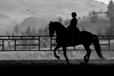 Psychology - still underestimated in horse riding